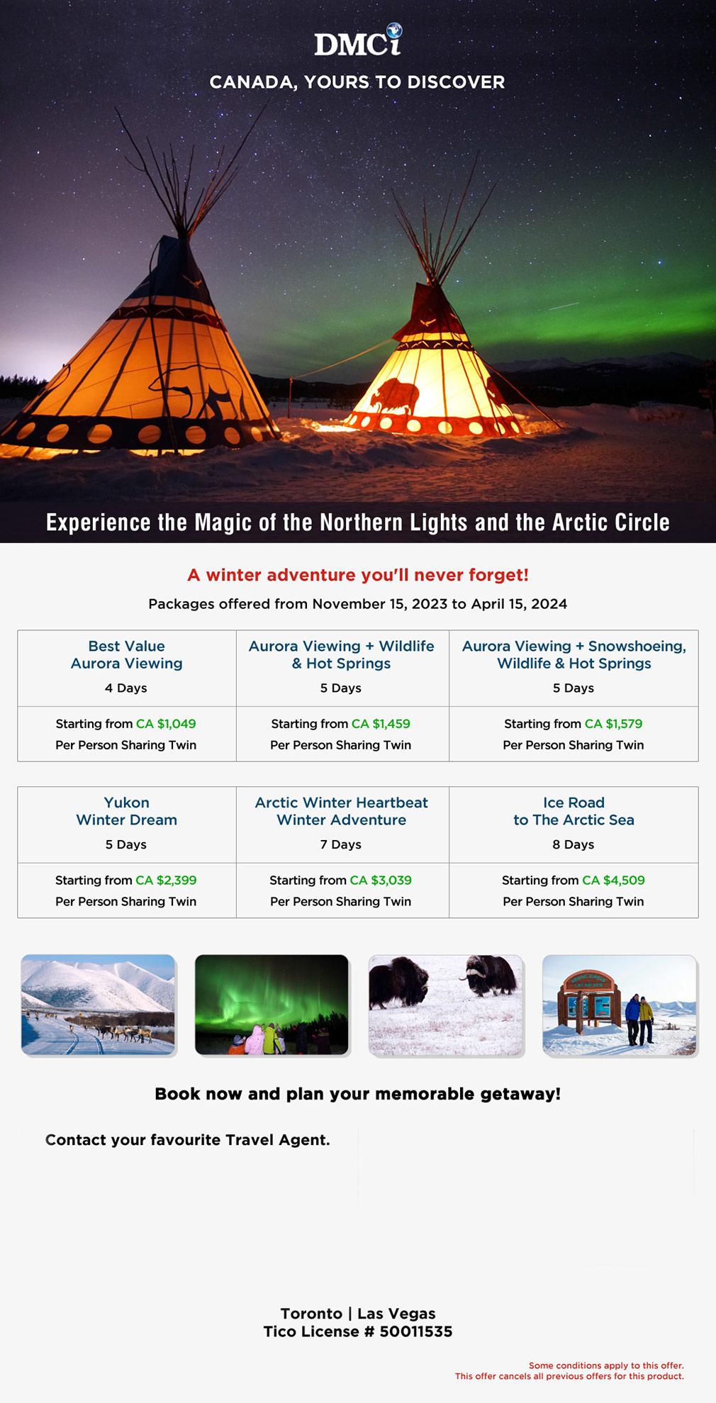 Northern Lights And The Arctic Circle